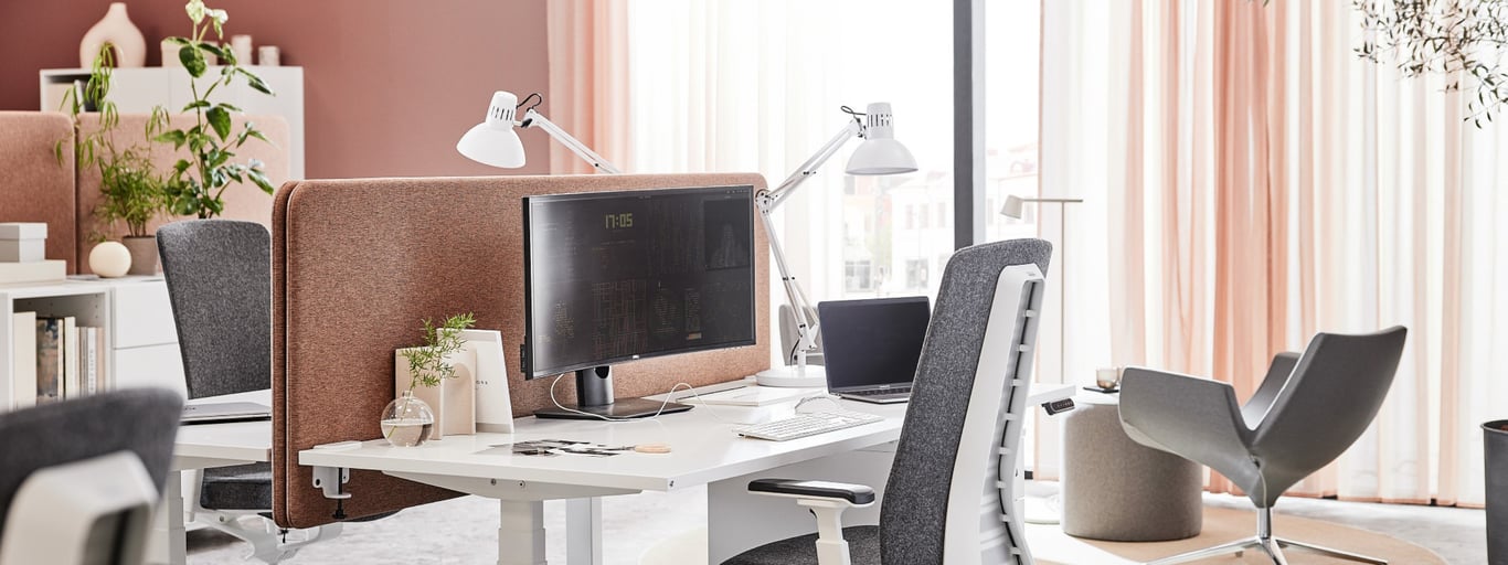 The workplace of the future