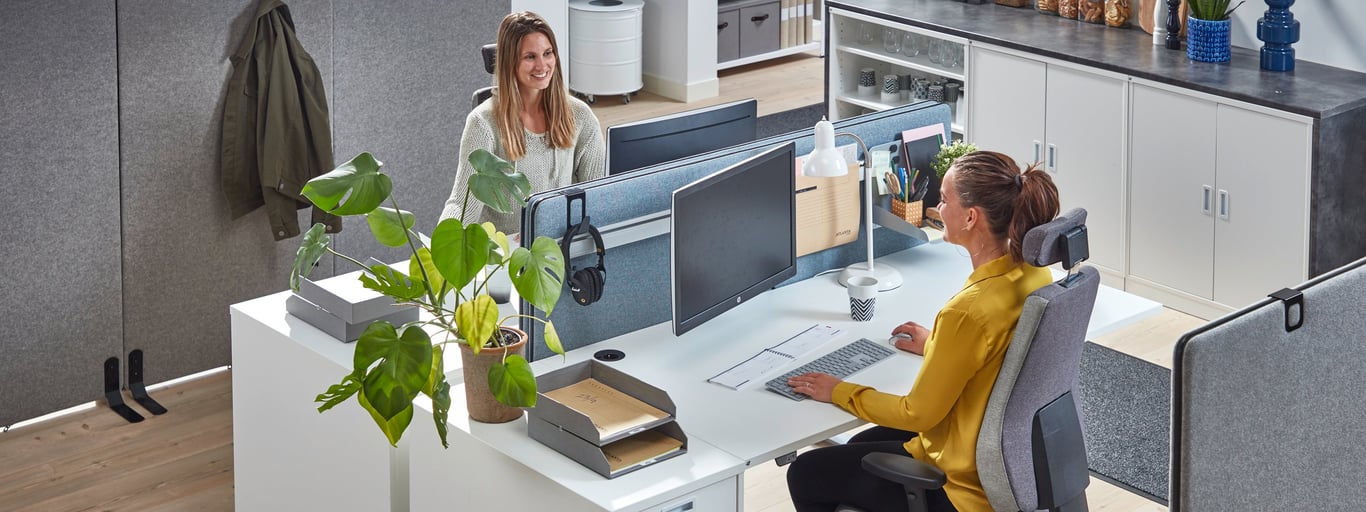 Two women are seated at a modern office desk, likely working. They are seated at a long, light-colored desk, separated by a partition.  The scene's focus is on the interaction of the women working at their separate areas of the desk, suggesting a collaborative or independent workspace setting.  The layout of the desks and partitions create a sense of division within a shared space. The elements are positioned in a functional and organized manner, suggesting a standard office setup.