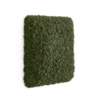 Miniatyrbilde 3
