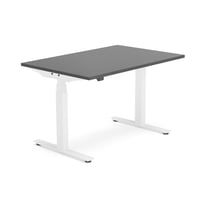 Miniatyrbilde 1