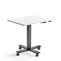 Miniatyrbilde 1