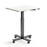 Miniatyrbilde 2
