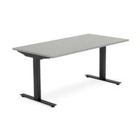 Miniatyrbilde 1