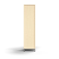 Miniatyrbilde 5