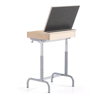 Miniatyrbilde 4