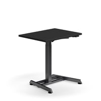 Miniatyrbilde 1