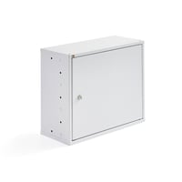 Miniatyrbilde 2