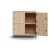 Miniatyrbilde 4