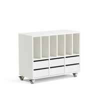 Miniatyrbilde 1