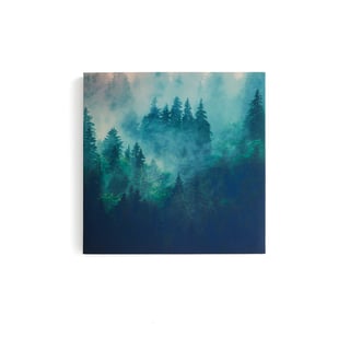 Akustikpanel IMAGE, Morgennebel, Teil 2, 800x800mm