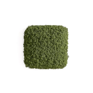 Ljudabsorbent RUDY, 300x300 mm, ljusgrön