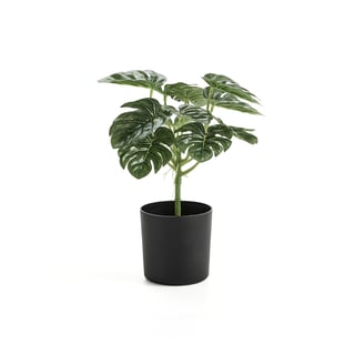 Sztuczna roślina EVERGREEN, Monstera, W 250 mm, 1 szt.