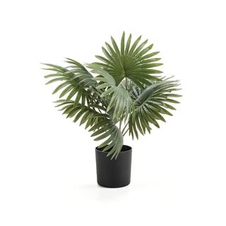 Konstväxt EVERGREEN, Palm, H 480 mm, 1-pack