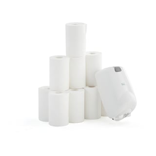 Paper towel dispenser including 12 towel rolls