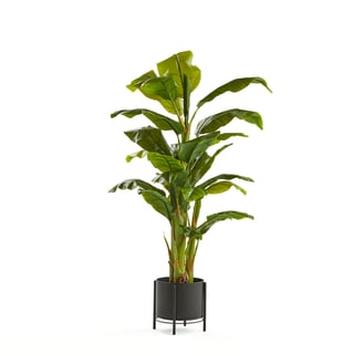 Kunstbananenplant, h 1500 mm, incl. zwarte stalen pot op standaard