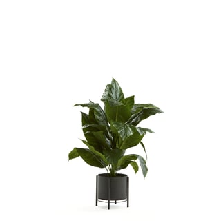 Mākslīgais augs Peace Lily (Spathiphyllum), A 1050 mm, komplektā melns tērauda pods uz statīva