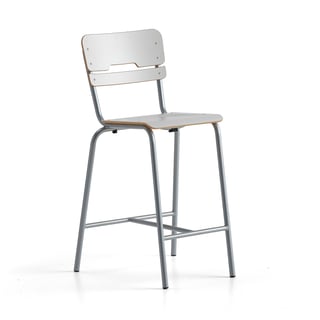 Classroom chair SCIENTIA, H 650 mm, silver/grey