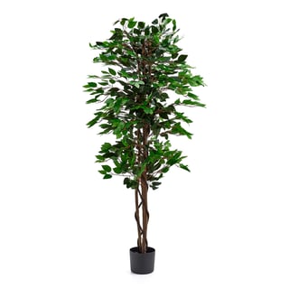 Kunstplant, Ficus benjamina, h 1600 mm, 1 stuks