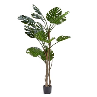 Mākslīgais augs EVERGREEN, monstera, H 1800 mm, 1 gab.