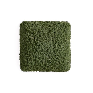 Live plant acoustic wall panel RUDY, 450x450 mm, green