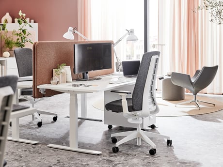 The workplace of the future 