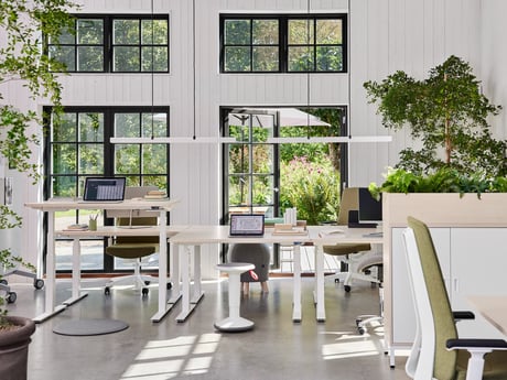 NASA-forskning: Derfor skal du have planter på kontoret