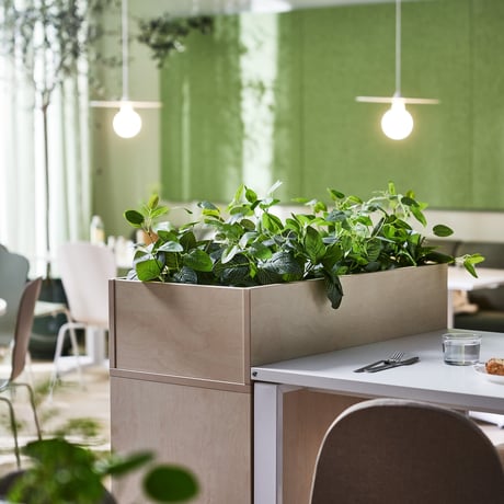 A planter box filled with lush green plants sits on top of a wooden divider in a bright, modern dining area