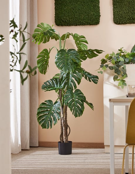 Grønn plante på arbeidsplassen