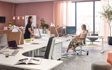 Two colleagues chatting in a light-filled office decorated in neutral tones