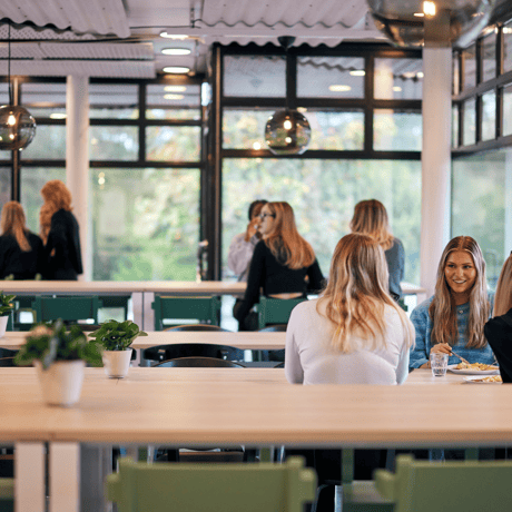 Asiakastarina Finnvedensin lukio