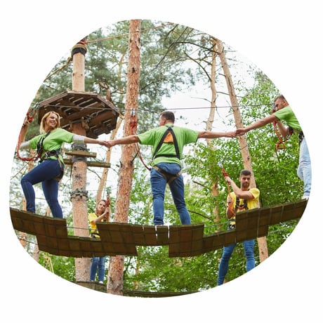 En gruppe kolleger iført grønne og gule t-shirts er på adventure teambuilding i en skov hvor de skal klatre