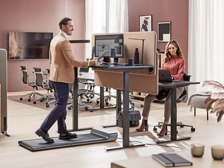 People working in an office with a treadmill and balance chair