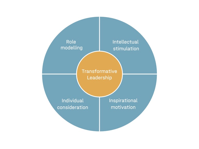 transformative leadership graphic