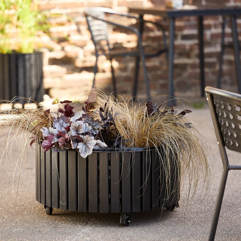 Mynd af vöru 2