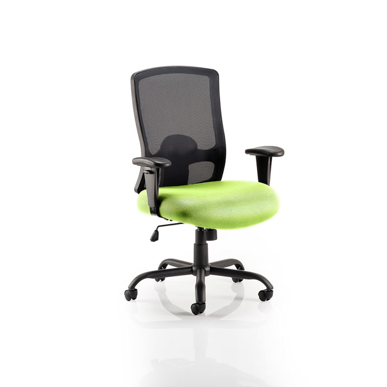 Heavy duty mesh back office chair CANTERBURY, lime seat AJ