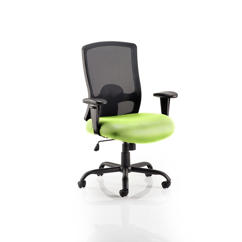 Heavy duty mesh back office chair CANTERBURY, lime seat AJ