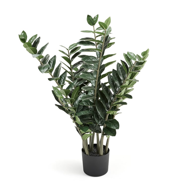 Umelá rastlina EVERGREEN, kulkas zamiolistes, výška 1000 mm, 1 ks