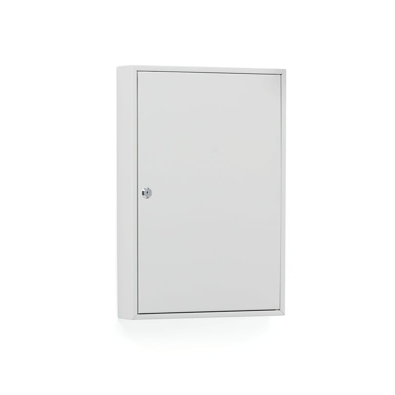 Skrinka na kľúče ROWLEY, 550x380x80 mm, 50 háčikov, uzamykateľná