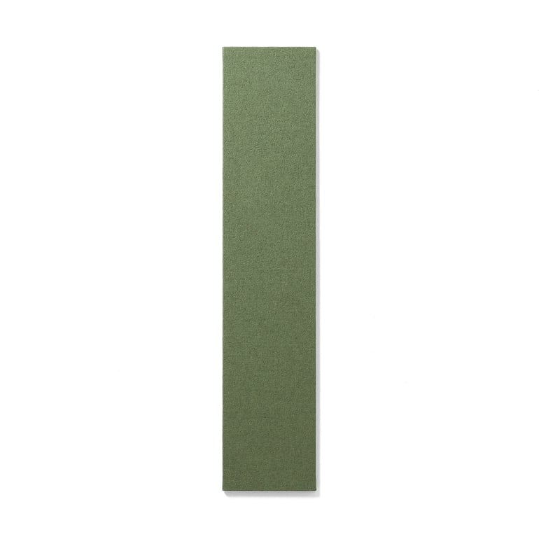 Levně Nástěnka AIR, 250x1190 mm, zelená