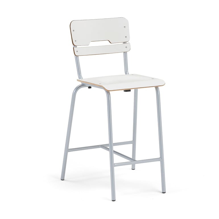 Levně Školní židle SCIENTIA, sedák 390x390 mm, výška 650 mm, stříbrná/bílá
