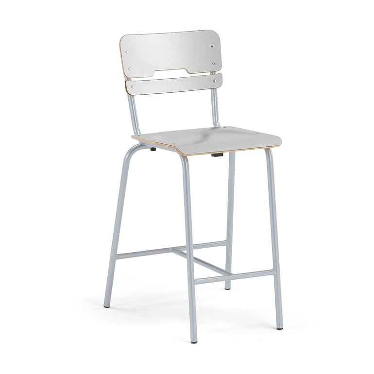 Levně Školní židle SCIENTIA, sedák 390x390 mm, výška 650 mm, stříbrná/šedá