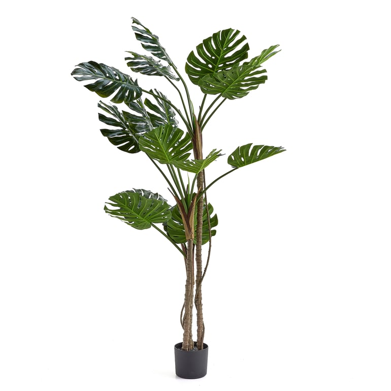 Levně Umělá rostlina EVERGREEN, monstera, umělá, 1800 mm, 1 ks