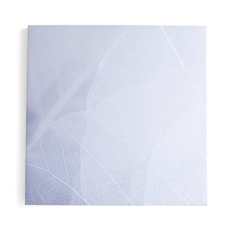 Levně Akustický panel IMAGE, zimní listí, 1200x1200 mm, šedá