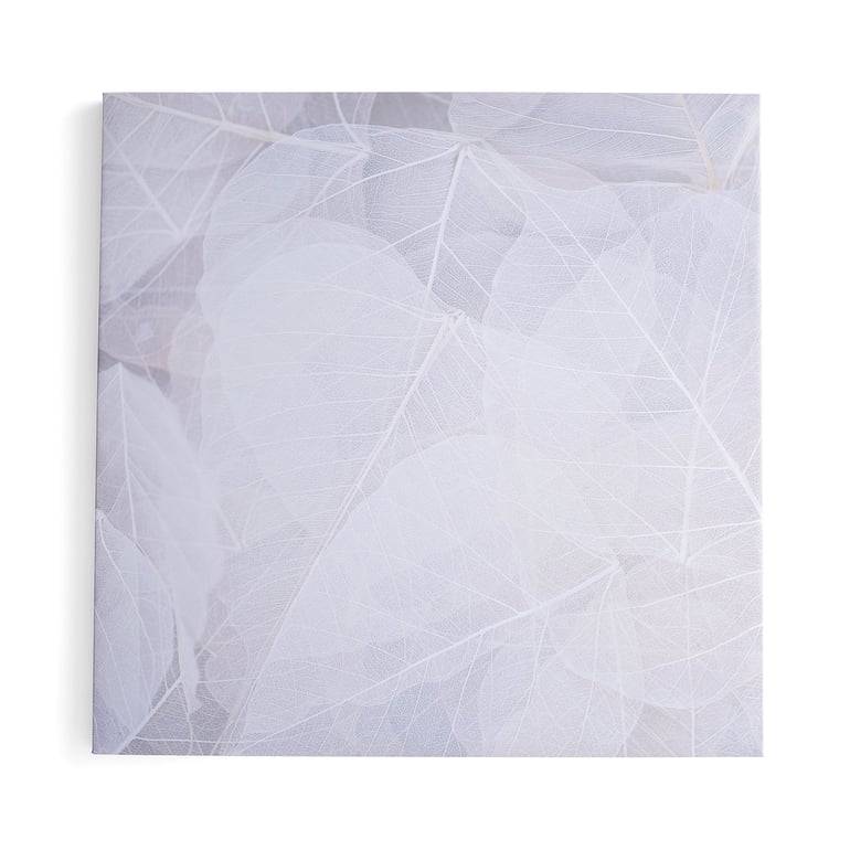 Levně Akustický panel IMAGE, zimní listí, 1200x1200 mm, béžová