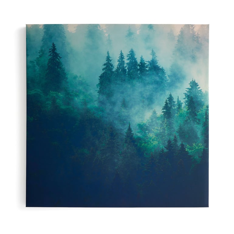 Levně Akustický panel IMAGE, ranní mlha, část 2, 1200x1200 mm