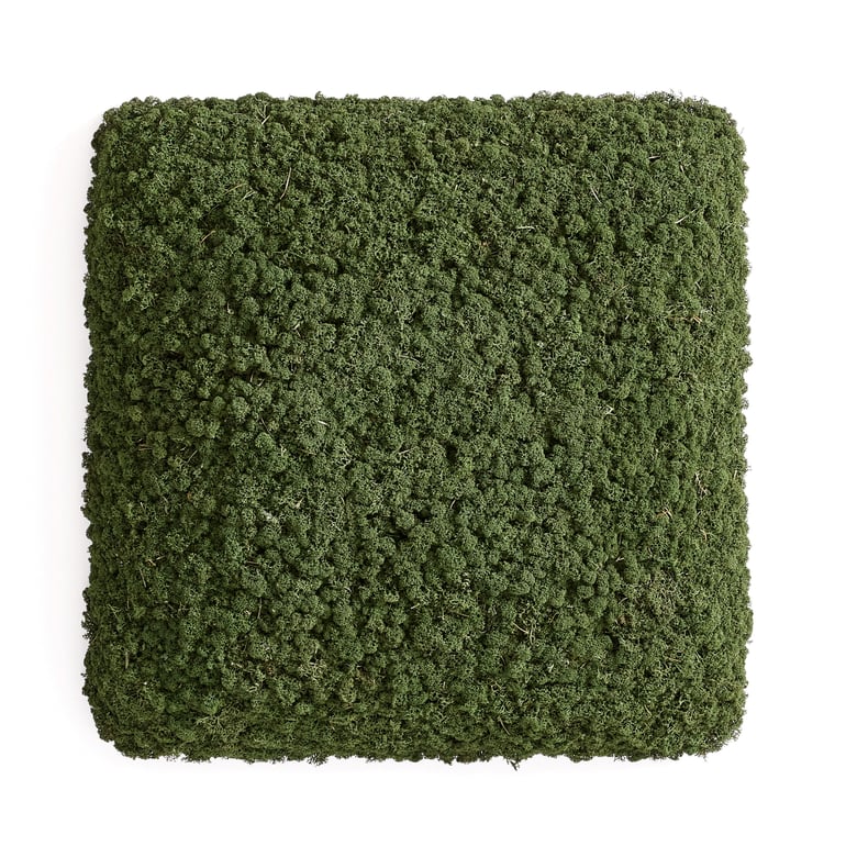 Wall-mounted acoustic panel made with natural reindeer lichen. The dark green panel gives the impression of a bird’s eye view of a forest.