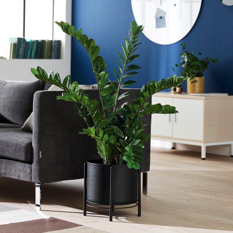 Breakout space in an office with a dark grey sofa featuring soft cushions. Next to the sofa is a large potted plant. In the background is a low storage cabinet made of light wood with white metal legs. There is a small plant on top of the cabinet. The floor is light wood with a rug in muted colours.