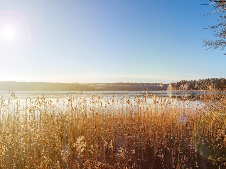 Miljøbillede af landskab ved sø