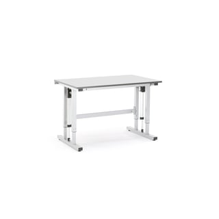Električno podesivi radni stol, nosivost 300 kg, 1200x800 mm, sivi