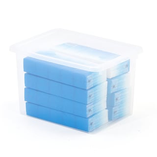 Förvaringsbox BLAKE, 390x290x245 mm, 20 liter, transparent